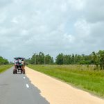 Auf Kuba wir Reis auf der Straße getrocknet