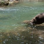 Klares Wasser