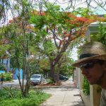 Varadero - Havannas Villen