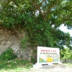 Maisí